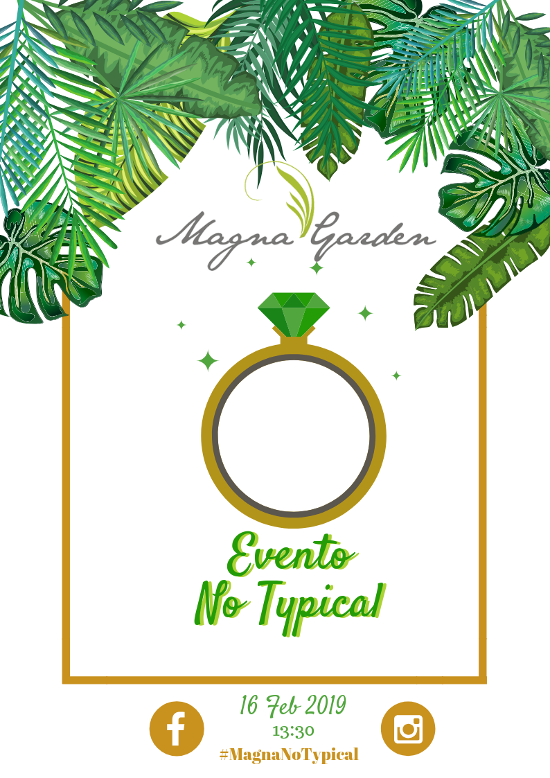 Evento No Typical