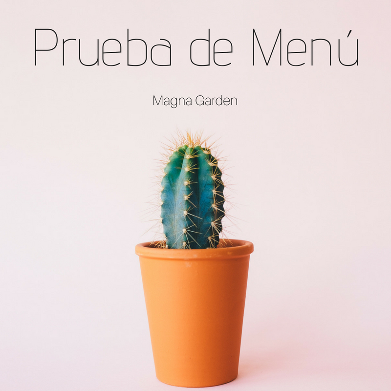 Prueba de Menú